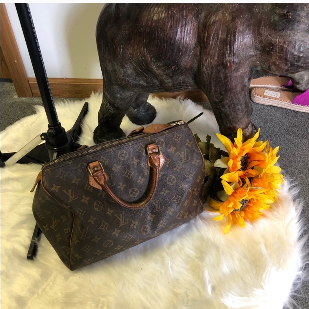 Louis Vuitton Speedy Bag